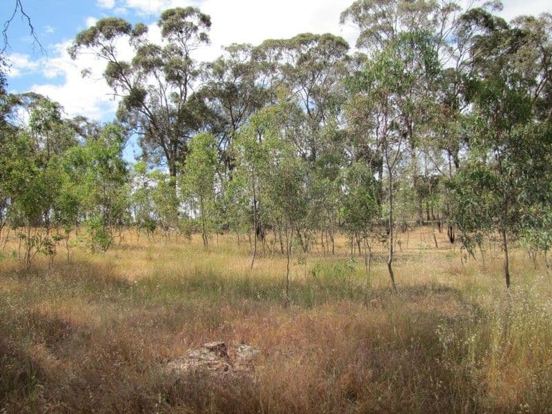 Lot 50 Needles Road, WILLIAMSTOWN SA 5351, Williamstown - Thumbnail 5