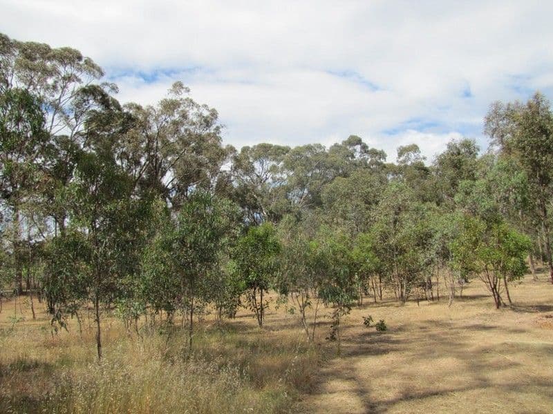 Lot 50 Needles Road, WILLIAMSTOWN SA 5351, Williamstown - Thumbnail 6