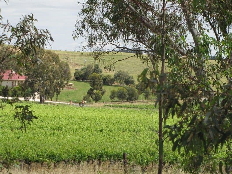 Lot 50 Needles Road, WILLIAMSTOWN SA 5351, Williamstown - Thumbnail 7