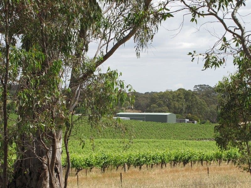 Lot 50 Needles Road, WILLIAMSTOWN SA 5351, Williamstown - Thumbnail 8