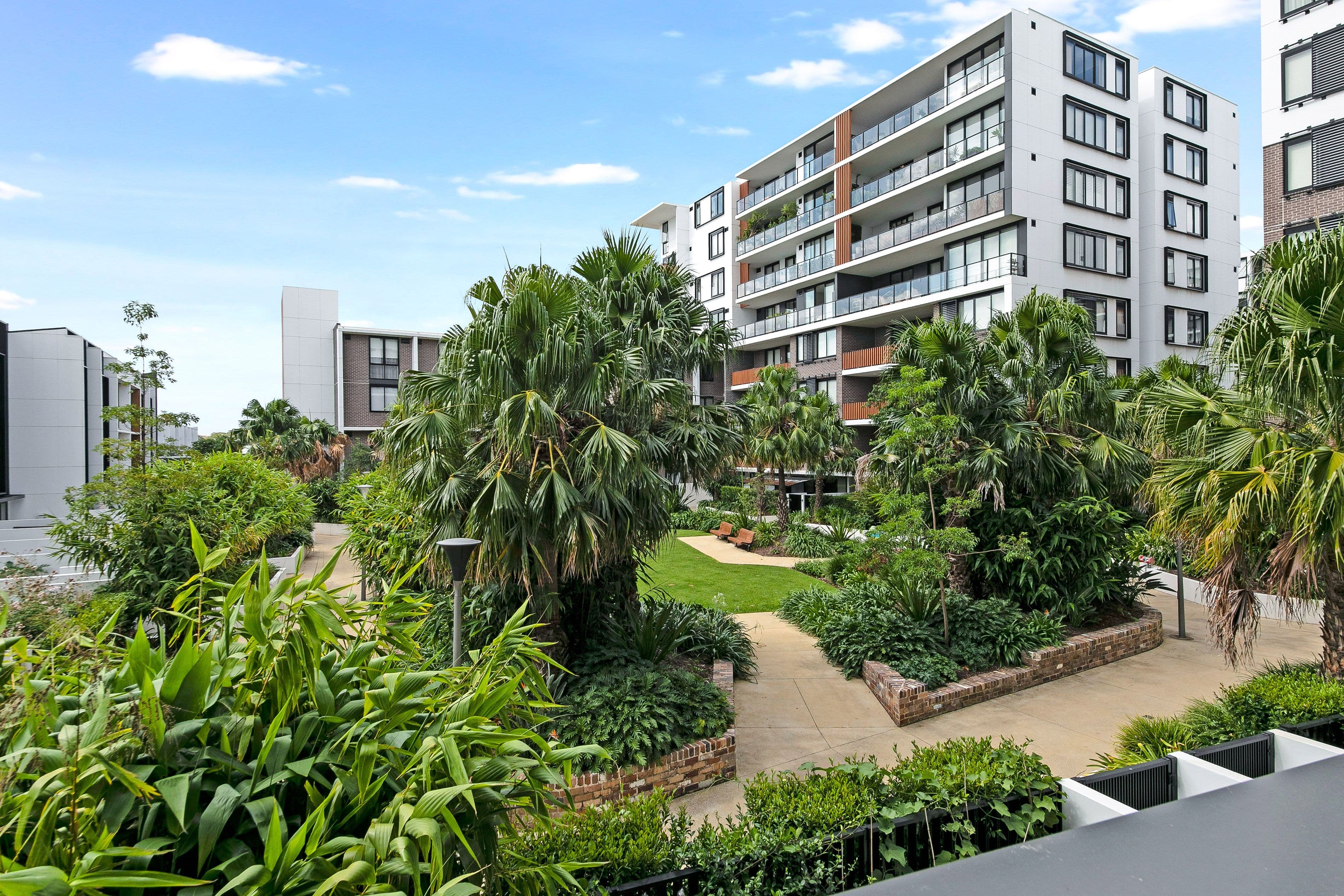 50 Pemberton Street, Botany NSW 2019, Botany - Thumbnail 6