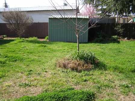 14 Rose Avenue, ORANGE NSW 2800, Orange - Thumbnail 7