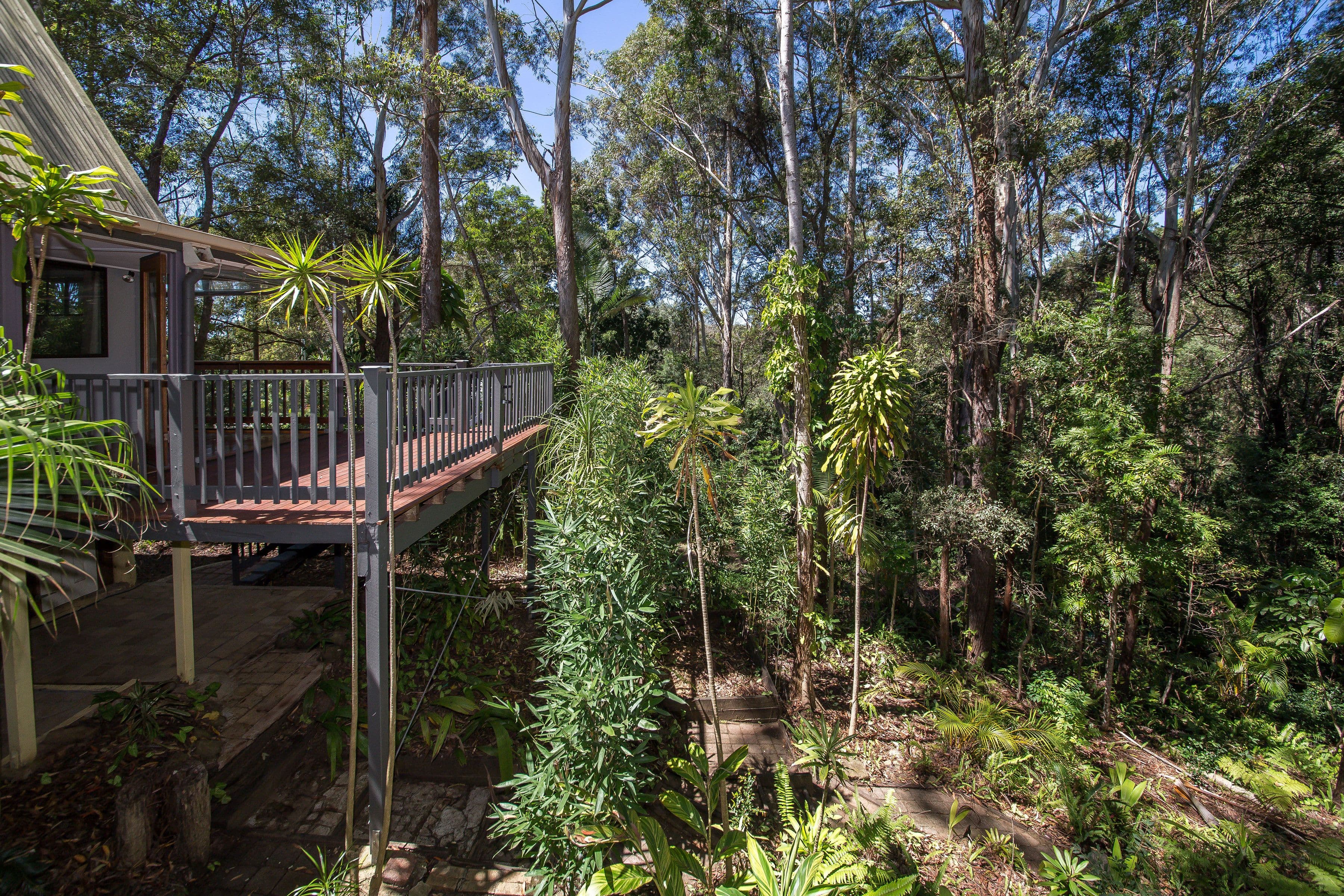 22 Palana Court, Buderim QLD 4556, Buderim - Thumbnail 3