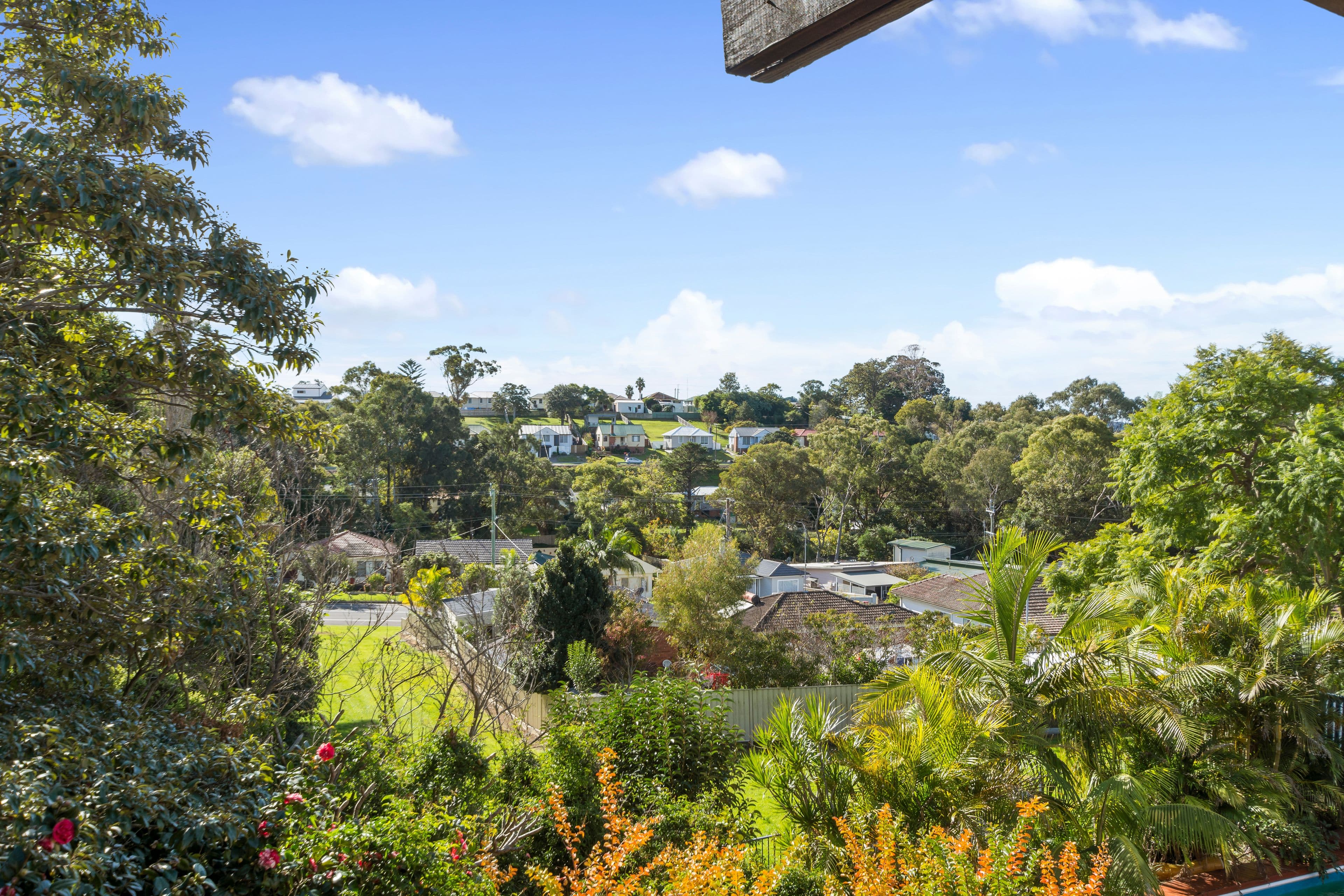 44 Beatus Street, Unanderra NSW 2526, Unanderra - Thumbnail 8