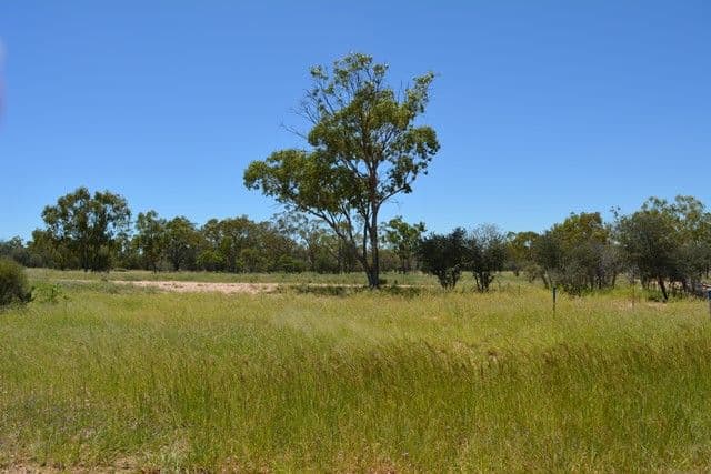 Lot 18 Davidson Road, Tambo QLD 4478, Tambo - Image 1