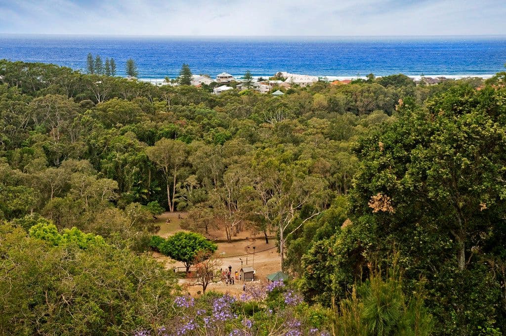 9 Lansell Avenue, CURRUMBIN QLD 4223, Currumbin - Thumbnail 5