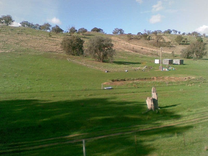636 Mudge Street, HAMILTON VALLEY NSW 2641, Hamilton Valley - Image 1