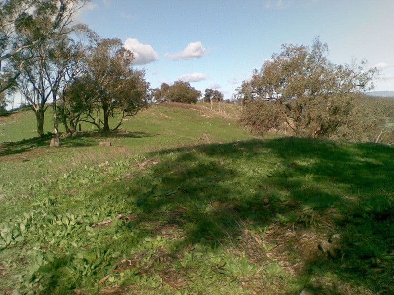 636 Mudge Street, HAMILTON VALLEY NSW 2641, Hamilton Valley - Thumbnail 2