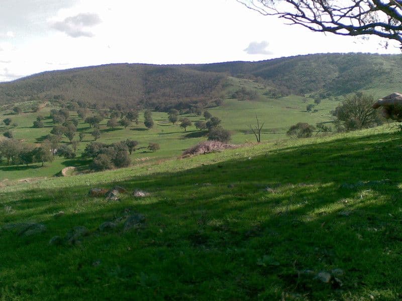 636 Mudge Street, HAMILTON VALLEY NSW 2641, Hamilton Valley - Thumbnail 3
