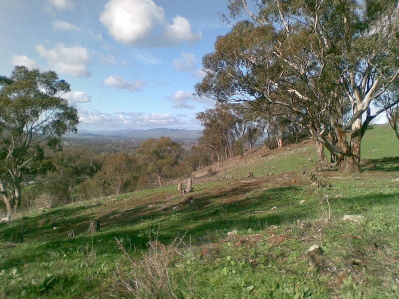 636 Mudge Street, HAMILTON VALLEY NSW 2641, Hamilton Valley - Thumbnail 5