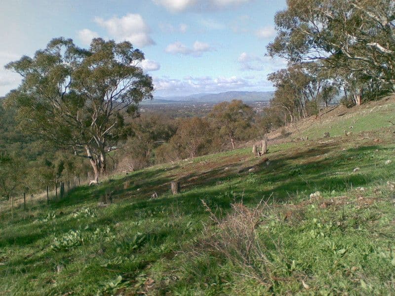 636 Mudge Street, HAMILTON VALLEY NSW 2641, Hamilton Valley - Thumbnail 6