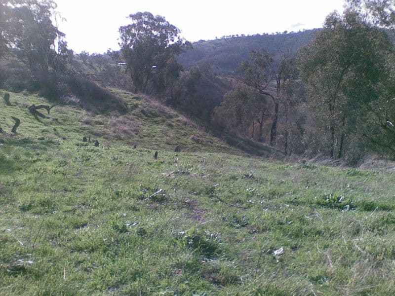 636 Mudge Street, HAMILTON VALLEY NSW 2641, Hamilton Valley - Thumbnail 8