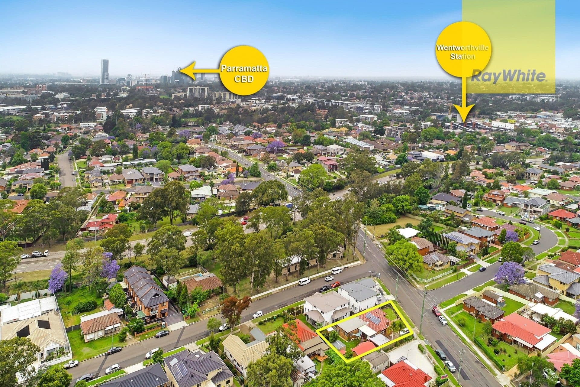 97 Darcy Road, Wentworthville - Thumbnail 3