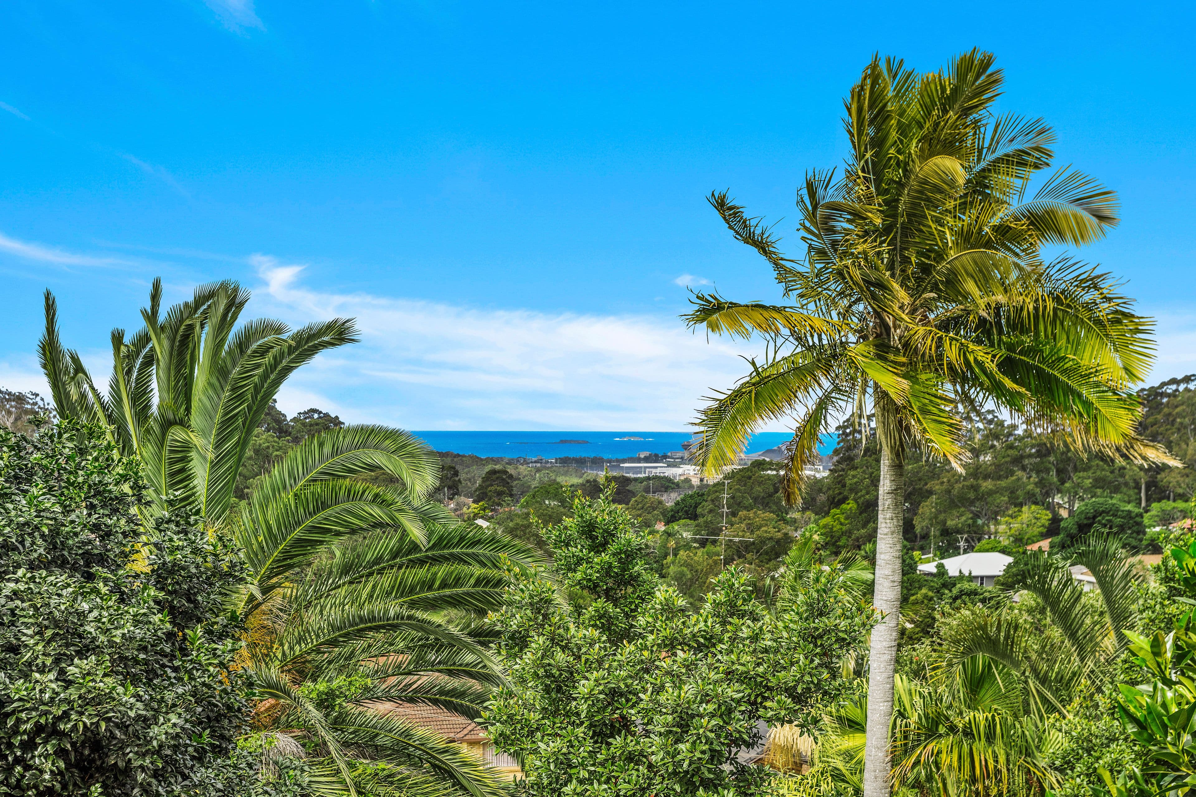 23 Iris Avenue, Coniston - Thumbnail 6