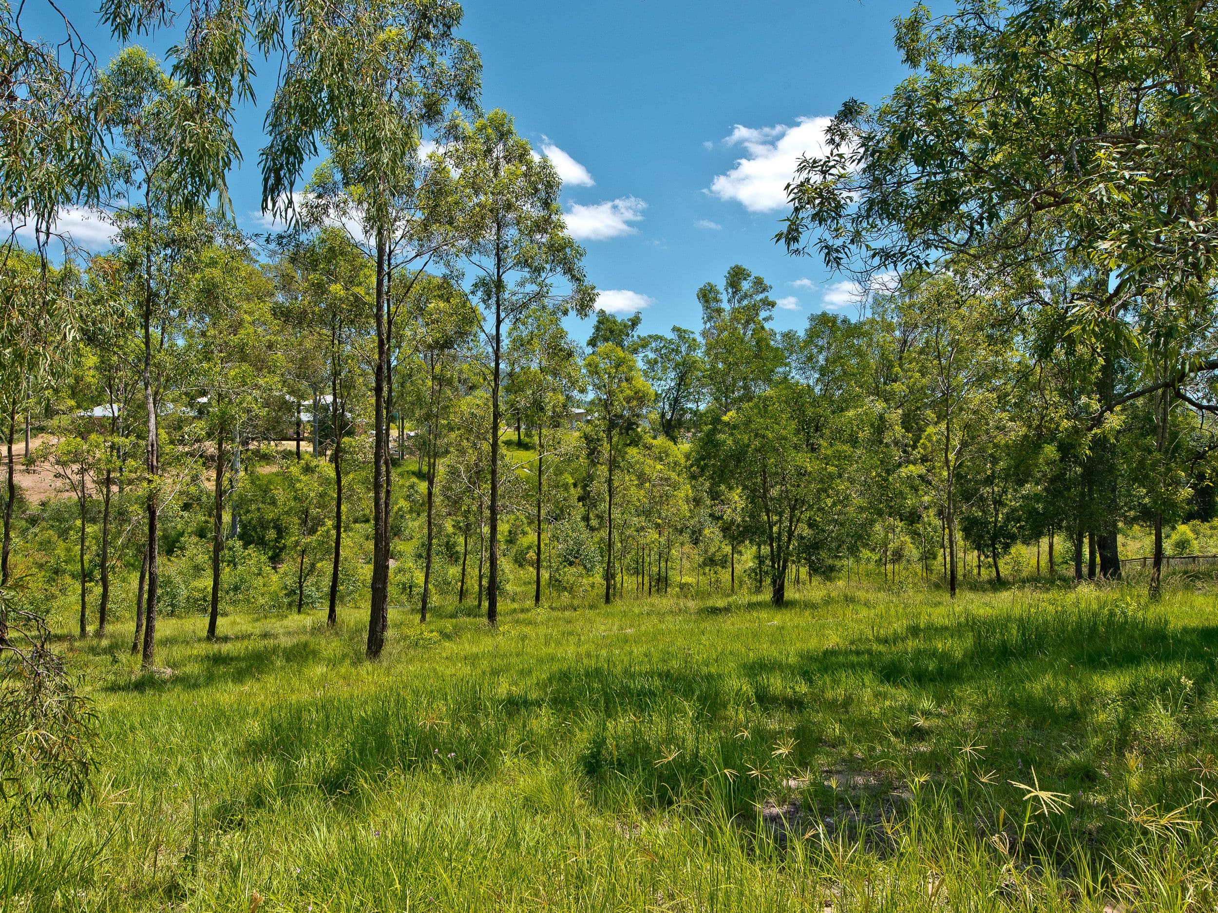 82 Moonlight Avenue, Highvale QLD 4520, Highvale - Image 1