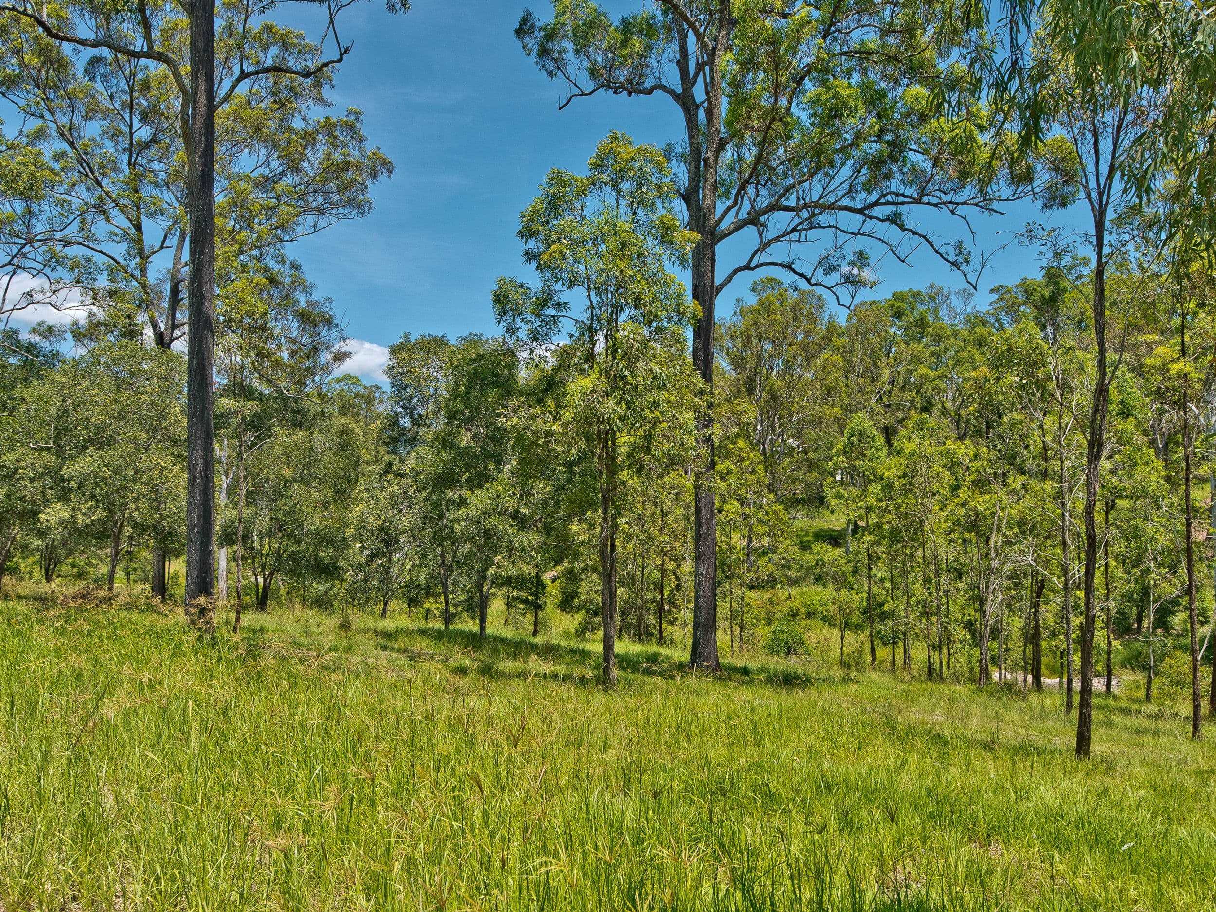 82 Moonlight Avenue, Highvale QLD 4520, Highvale - Thumbnail 3