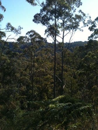 Lot 3 Doyle Road, REESVILLE QLD 4552, Reesville - Thumbnail 4
