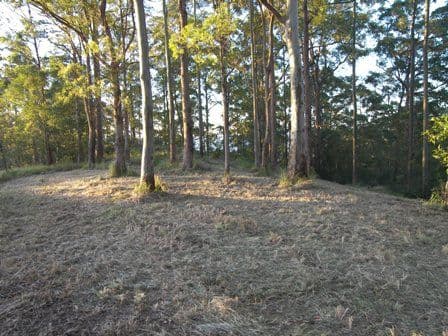 Lot 3 Doyle Road, REESVILLE QLD 4552, Reesville - Thumbnail 7