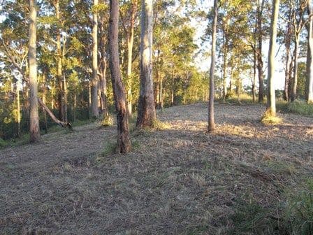 Lot 3 Doyle Road, REESVILLE QLD 4552, Reesville - Thumbnail 8