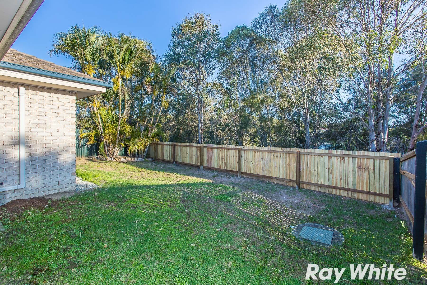 16 Barwon Street, Murrumba Downs QLD 4503, Murrumba Downs - Thumbnail 3