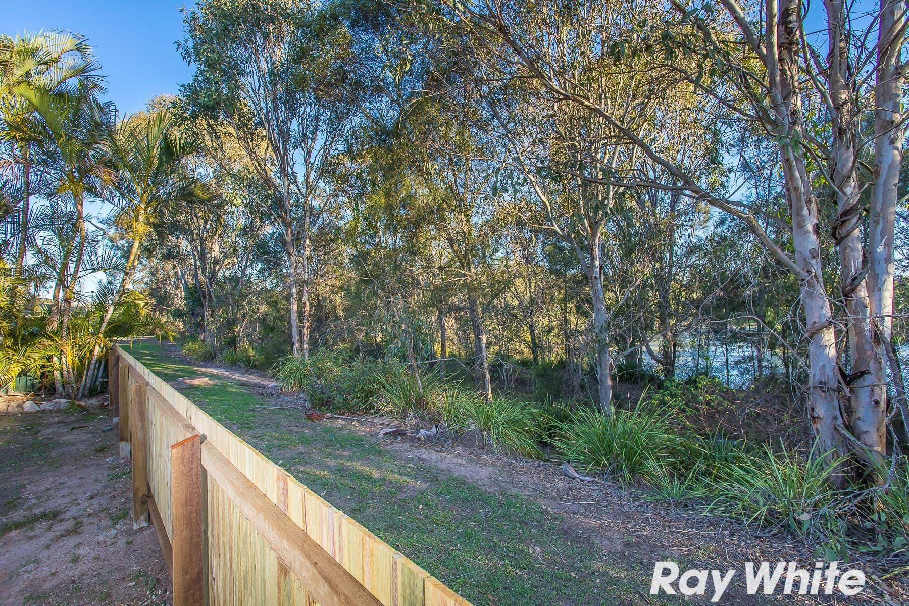 16 Barwon Street, Murrumba Downs QLD 4503, Murrumba Downs - Thumbnail 4