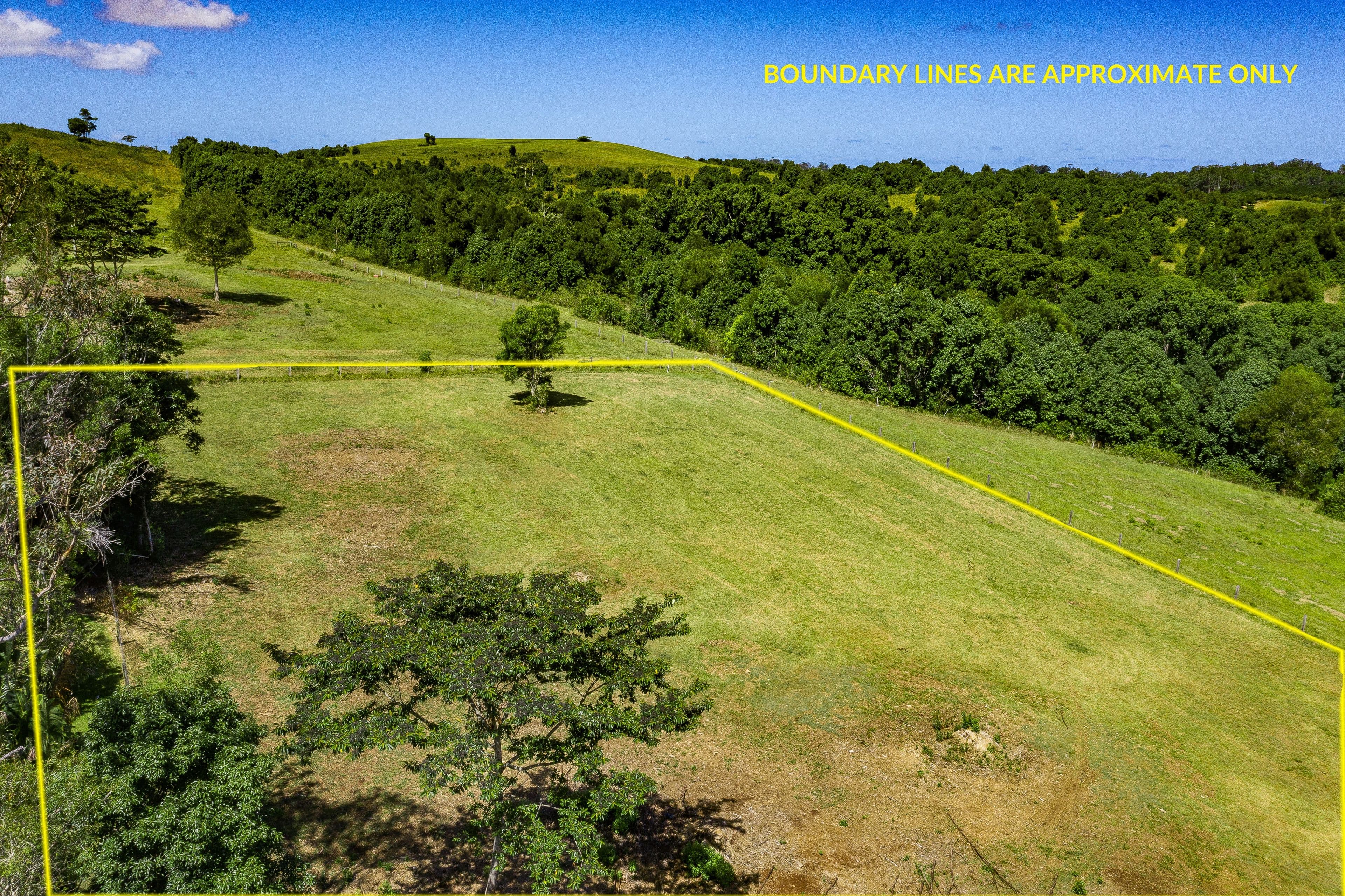 Lot 2, 1149 Friday Hut Road, Binna Burra NSW 2479, Binna Burra - Thumbnail 2