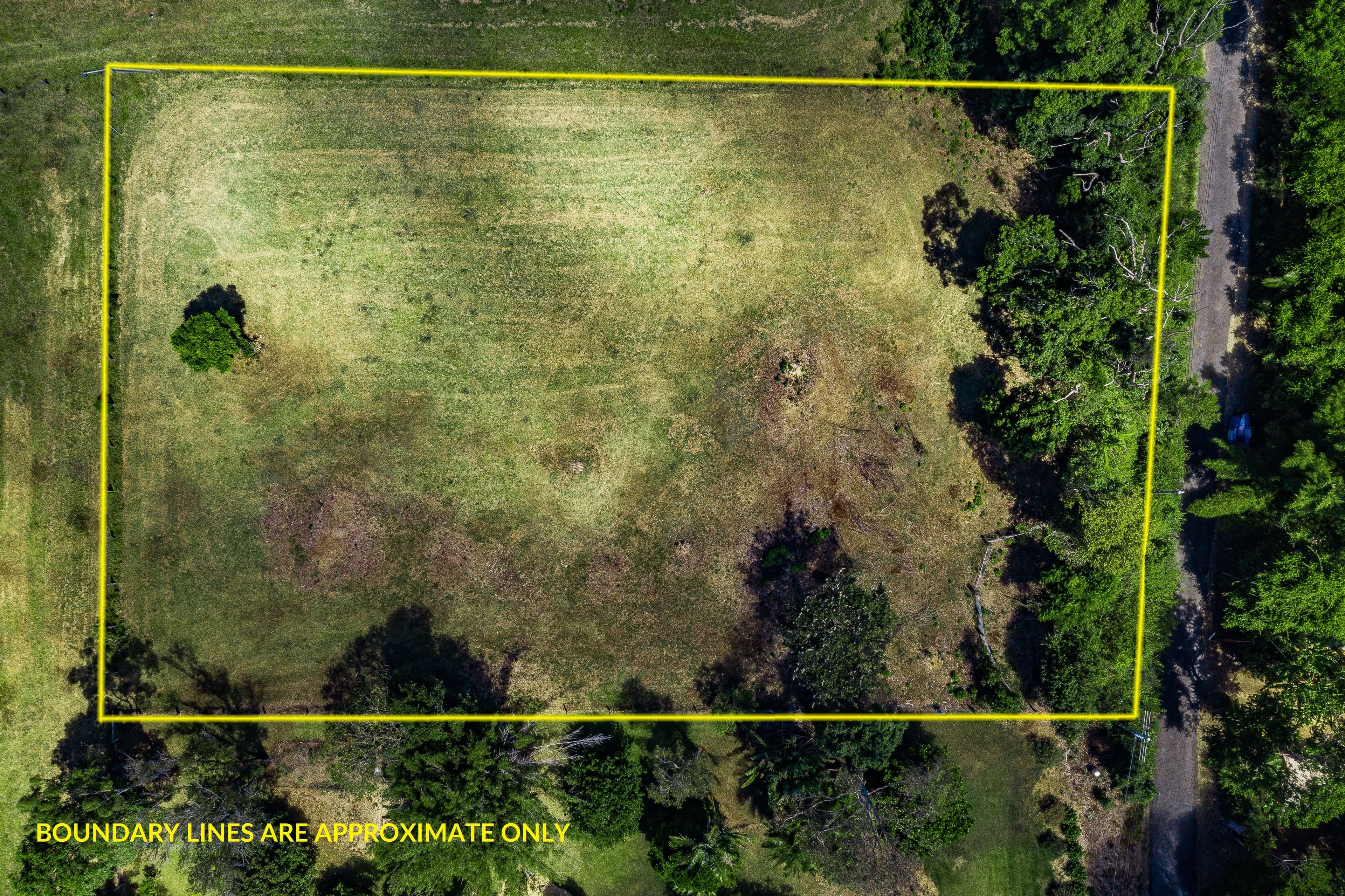 Lot 2, 1149 Friday Hut Road, Binna Burra NSW 2479, Binna Burra - Thumbnail 4