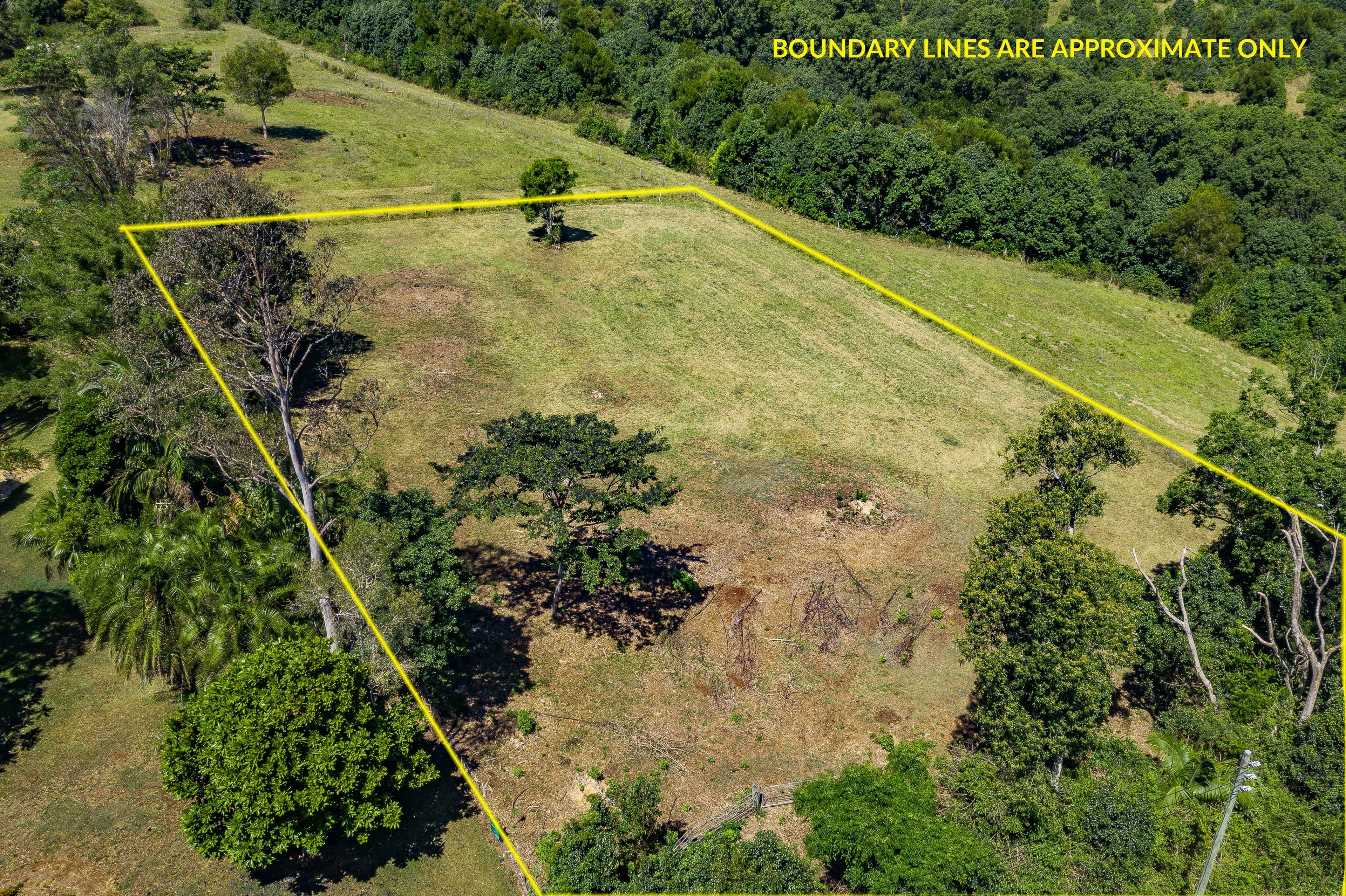 Lot 2, 1149 Friday Hut Road, Binna Burra NSW 2479, Binna Burra - Thumbnail 5