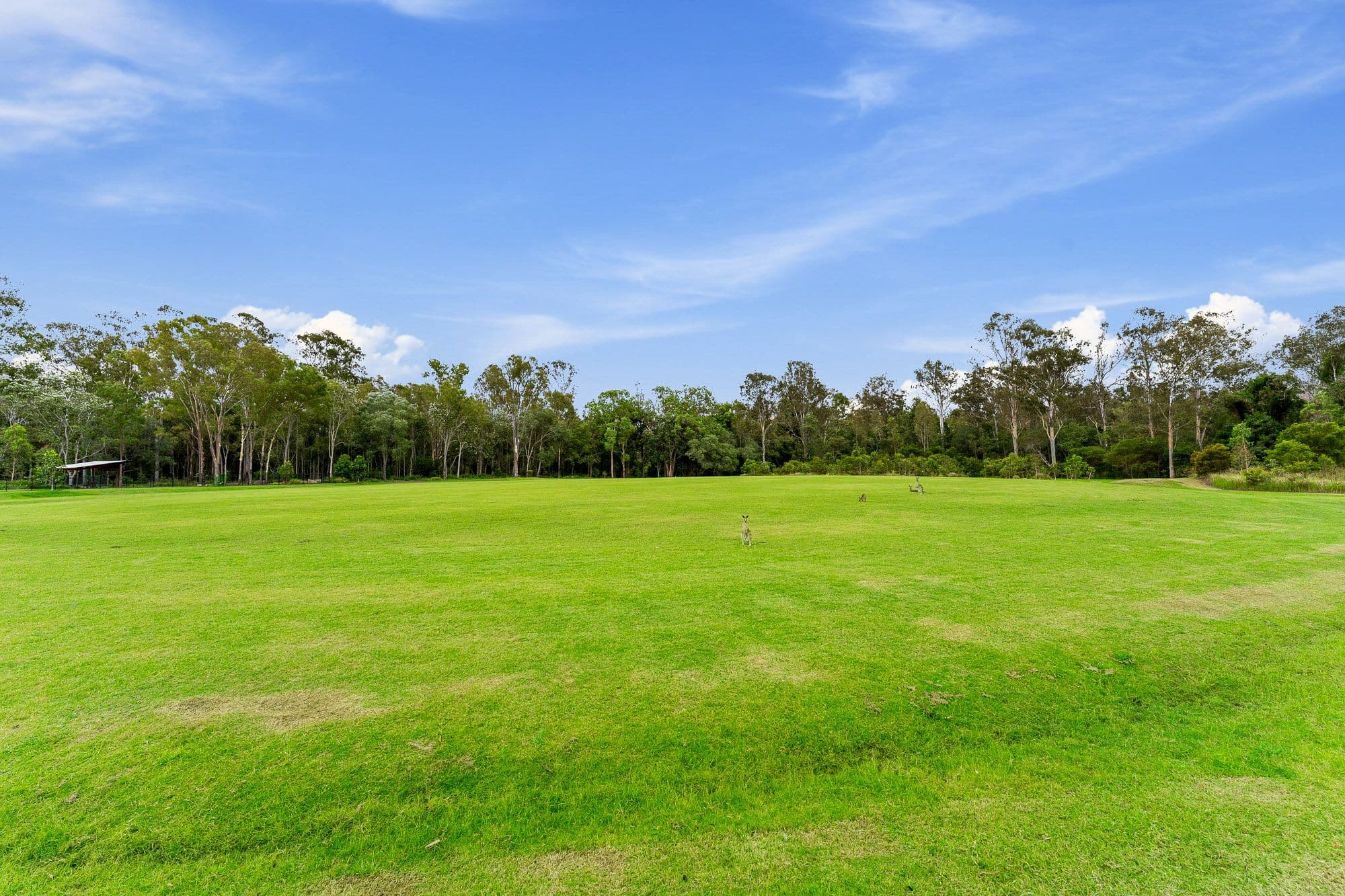 30 Bloomfield Esplanade, South Maclean QLD 4280, South Maclean - Thumbnail 4