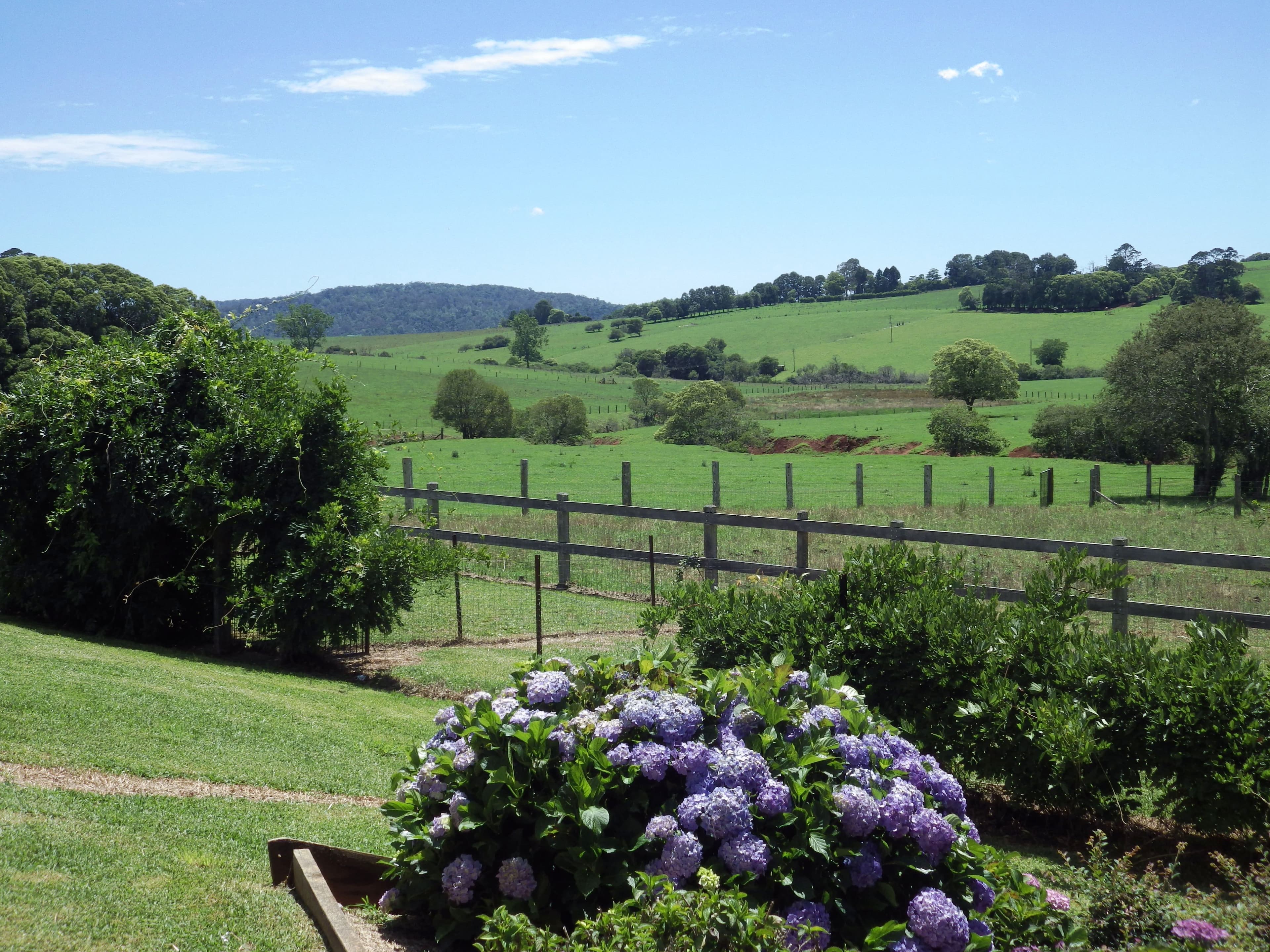 48 Hayden Street, Dorrigo NSW 2453, Dorrigo - Thumbnail 2
