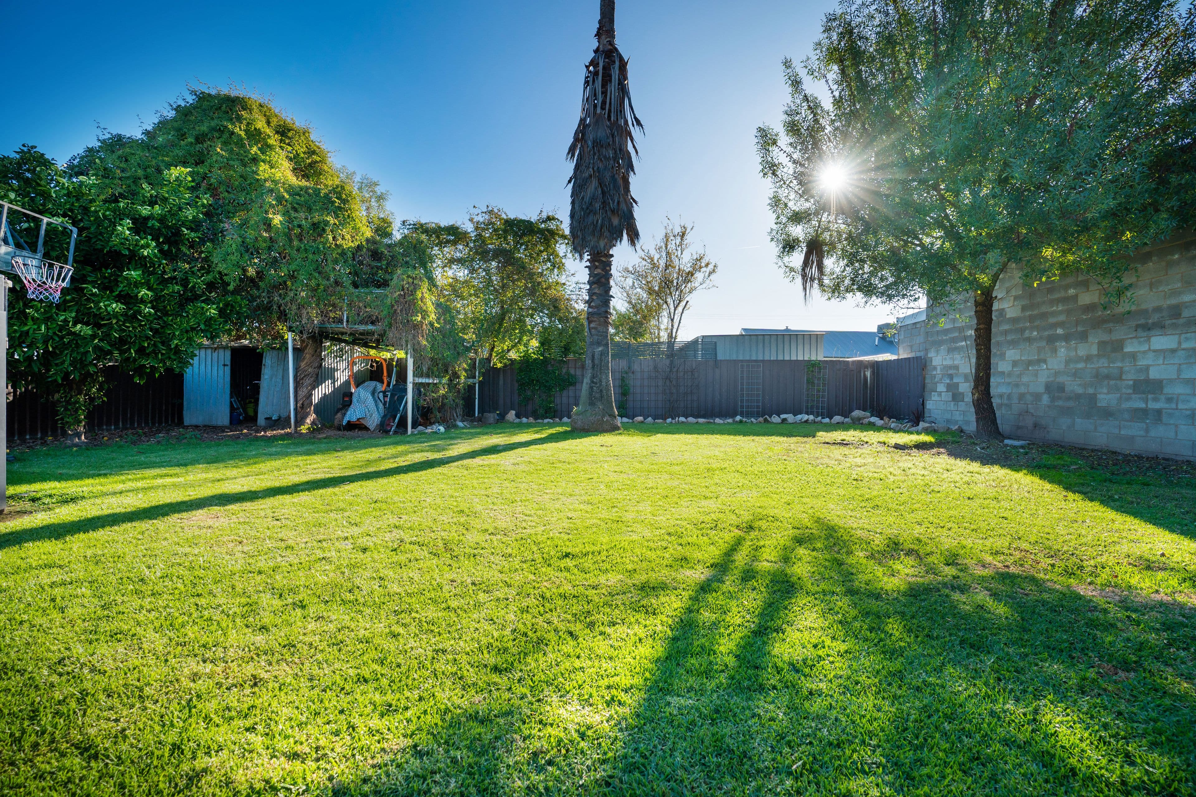 459 Danes Street, Lavington NSW 2641, Lavington - Thumbnail 3