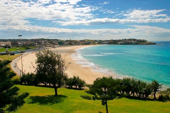 47 Roscoe Street, Bondi Beach NSW 2026, Bondi Beach - Thumbnail 6