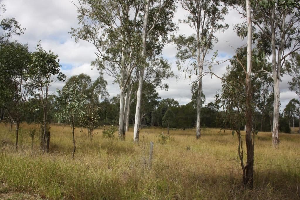 Lot 3 Greiners Road, Mundubbera QLD 4626, Mundubbera - Image 1