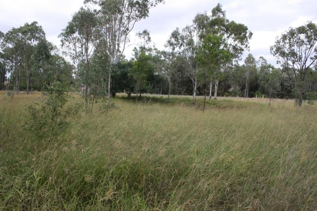 Lot 3 Greiners Road, Mundubbera QLD 4626, Mundubbera - Thumbnail 5