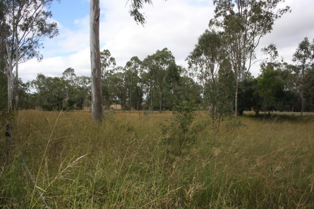Lot 3 Greiners Road, Mundubbera QLD 4626, Mundubbera - Thumbnail 7