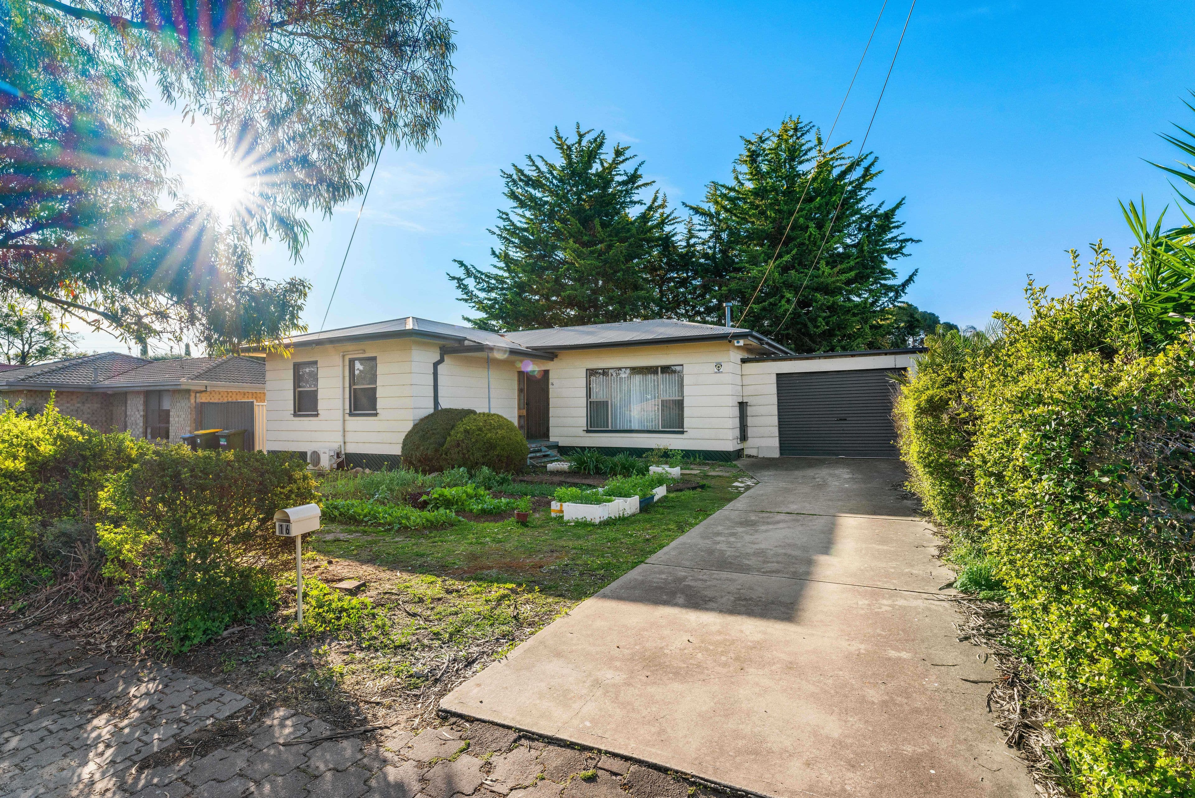 16 Swanson Avenue, Gilles Plains SA 5086, Gilles Plains - Thumbnail 4