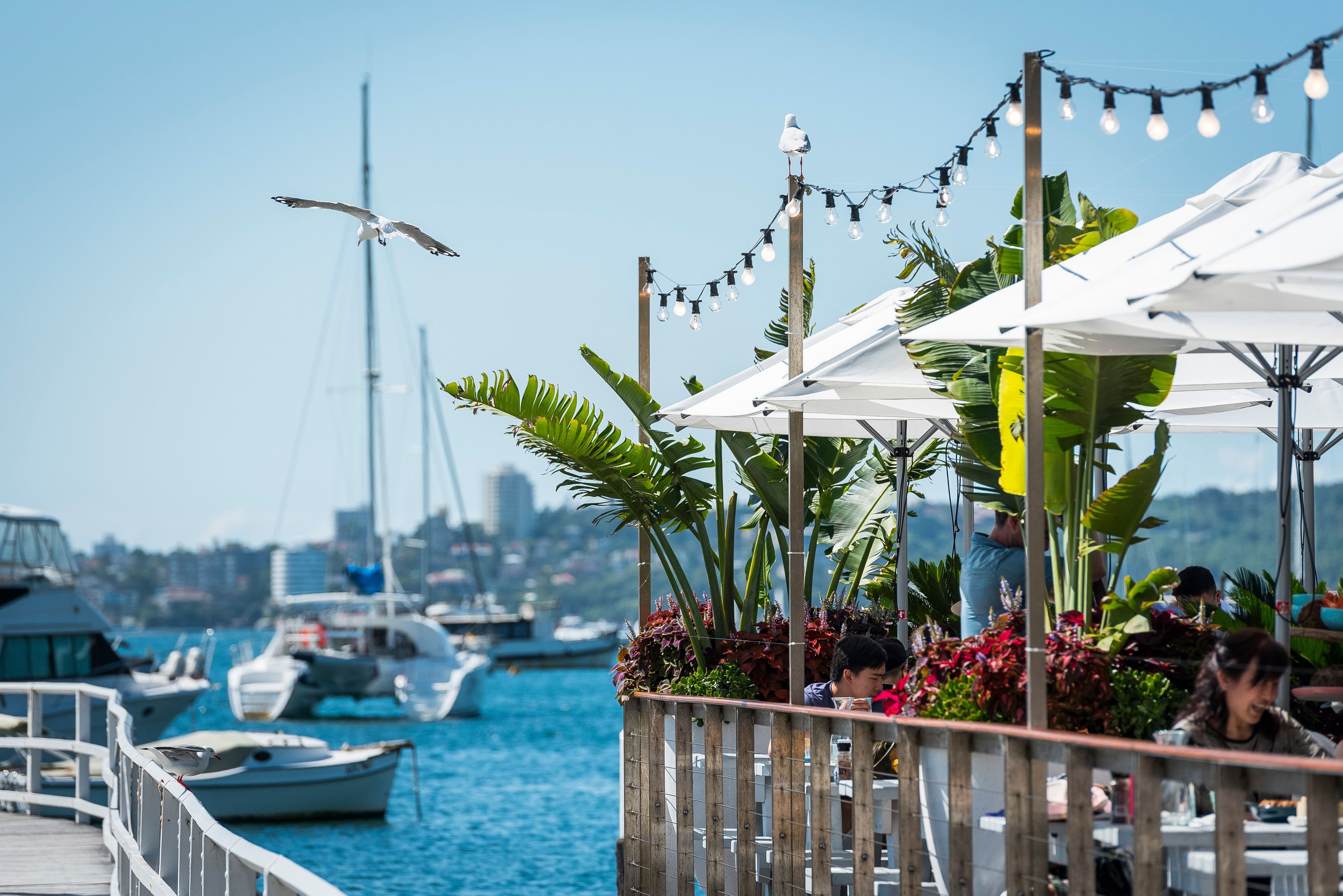 84-86 Spit Road, Mosman NSW 2088, Mosman - Thumbnail 5