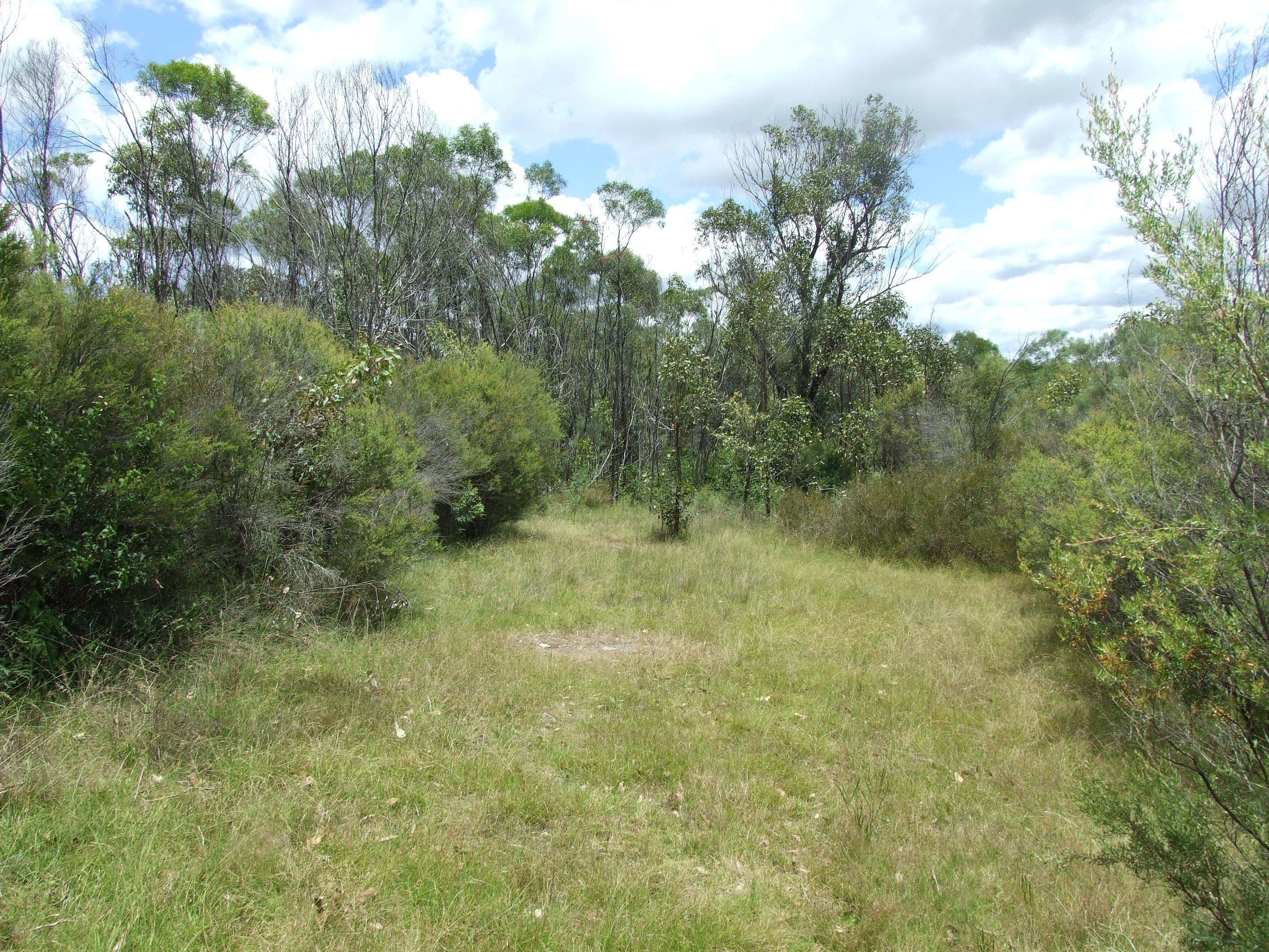 25 Pinnell Road, Crows Nest QLD 4355, Crows Nest - Thumbnail 4
