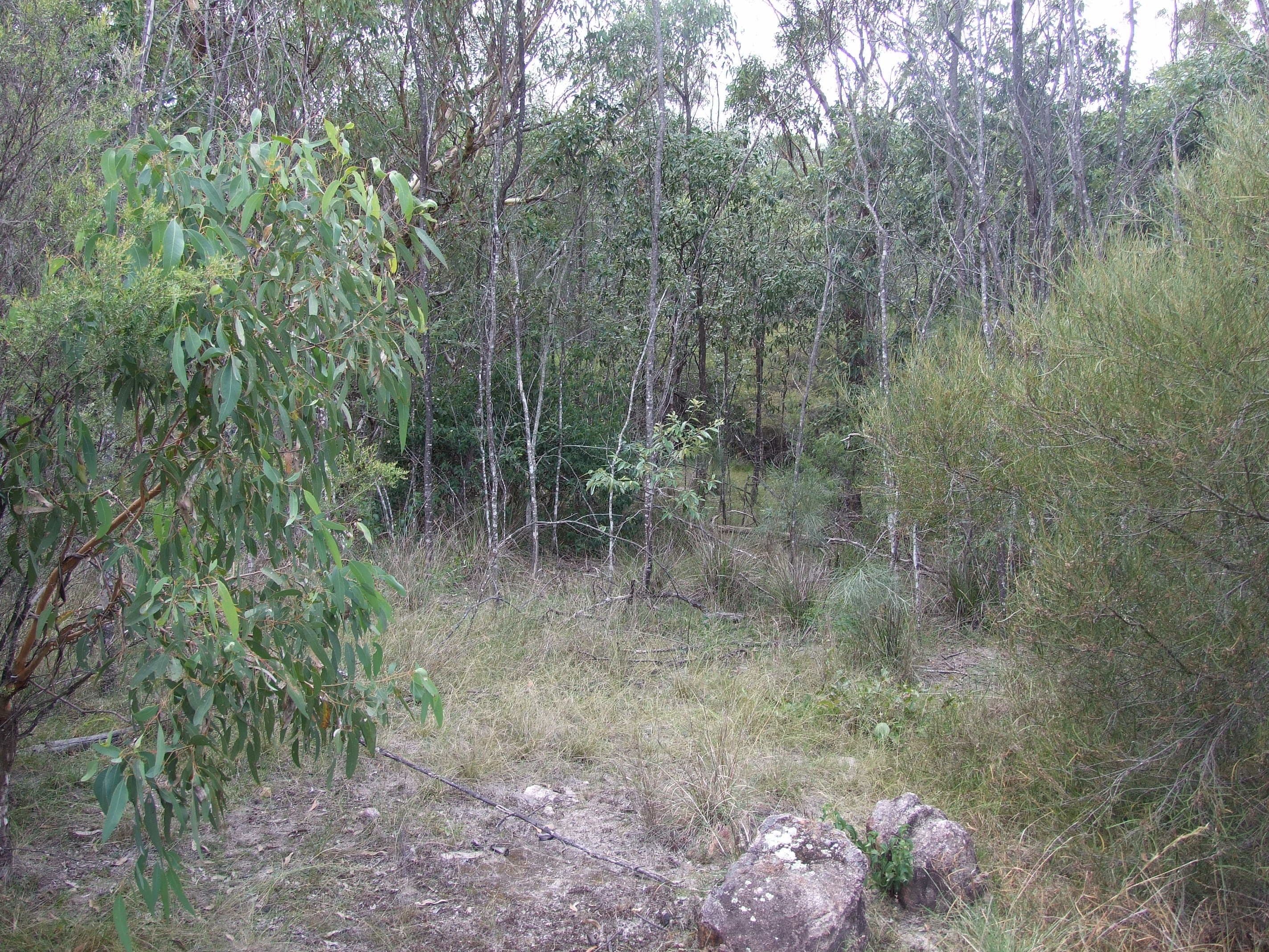 25 Pinnell Road, Crows Nest QLD 4355, Crows Nest - Thumbnail 5