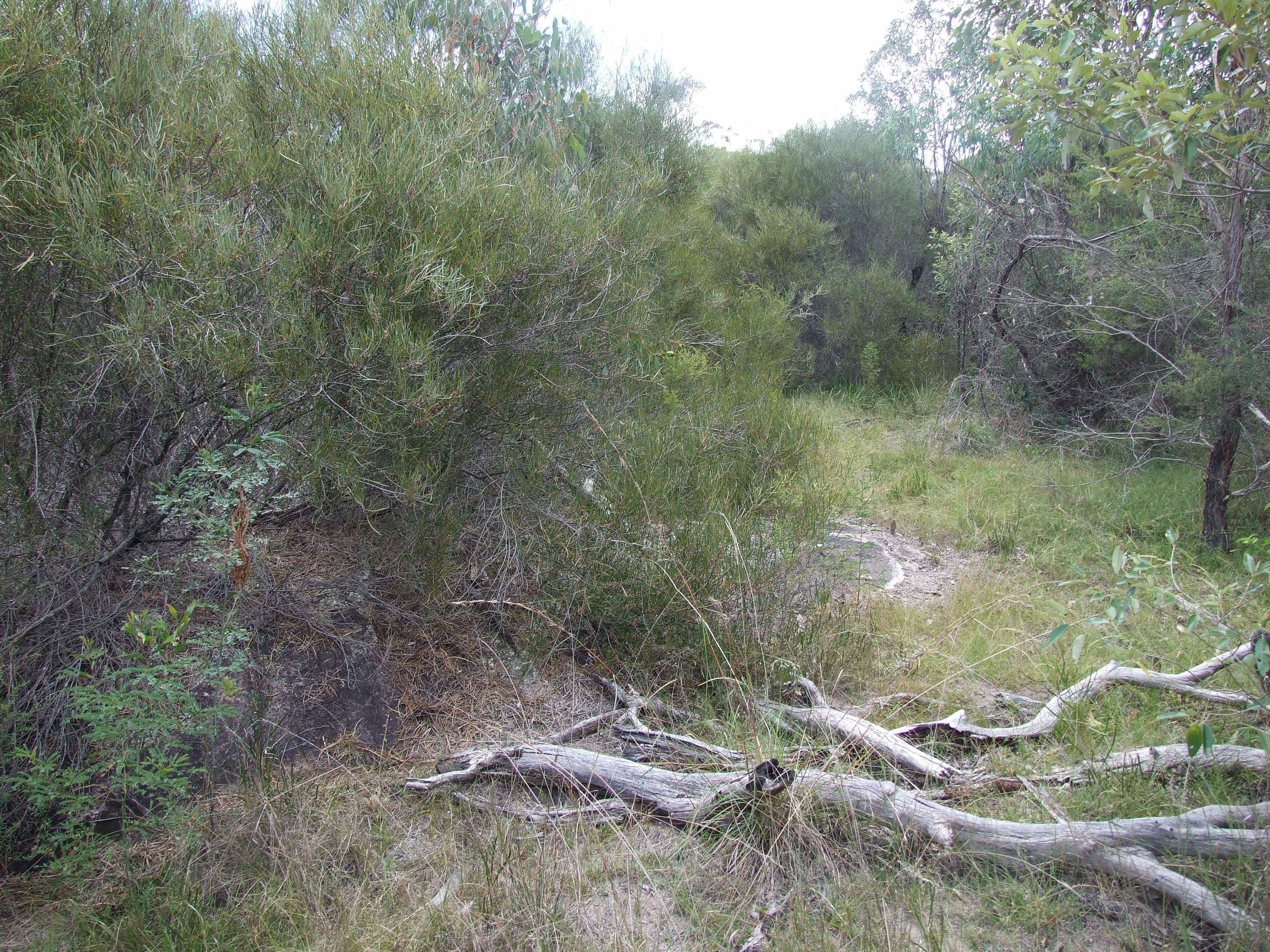 25 Pinnell Road, Crows Nest QLD 4355, Crows Nest - Thumbnail 6