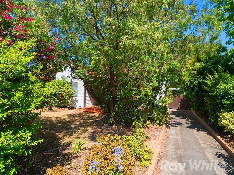 159 Rowans Road, Moorabbin VIC 3189, Moorabbin - Thumbnail 2