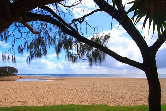 50 Bryce Street, Moffat Beach QLD 4551, Moffat Beach - Thumbnail 7