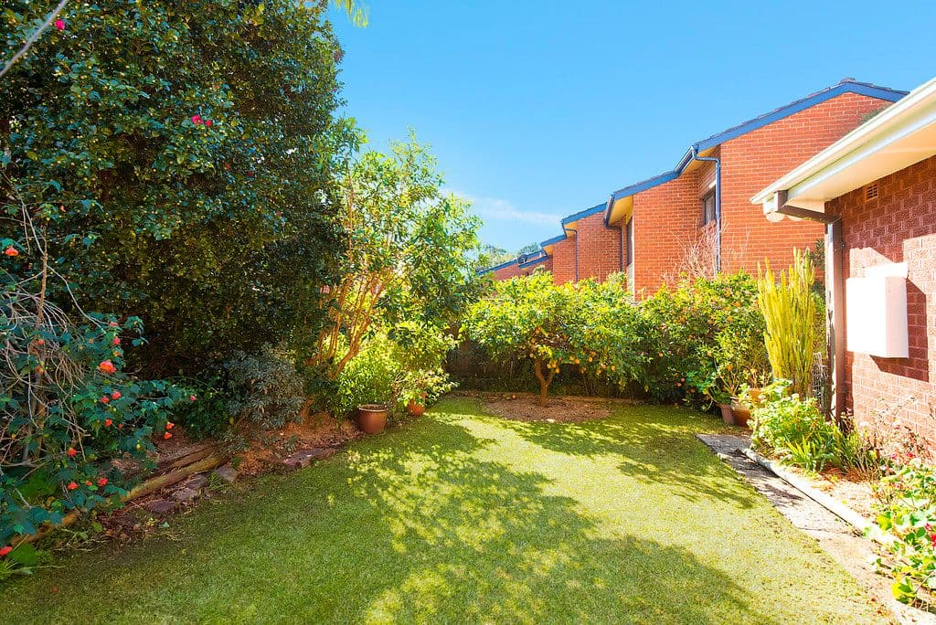 10 Buller Road, Artarmon NSW 2064, Artarmon - Thumbnail 7