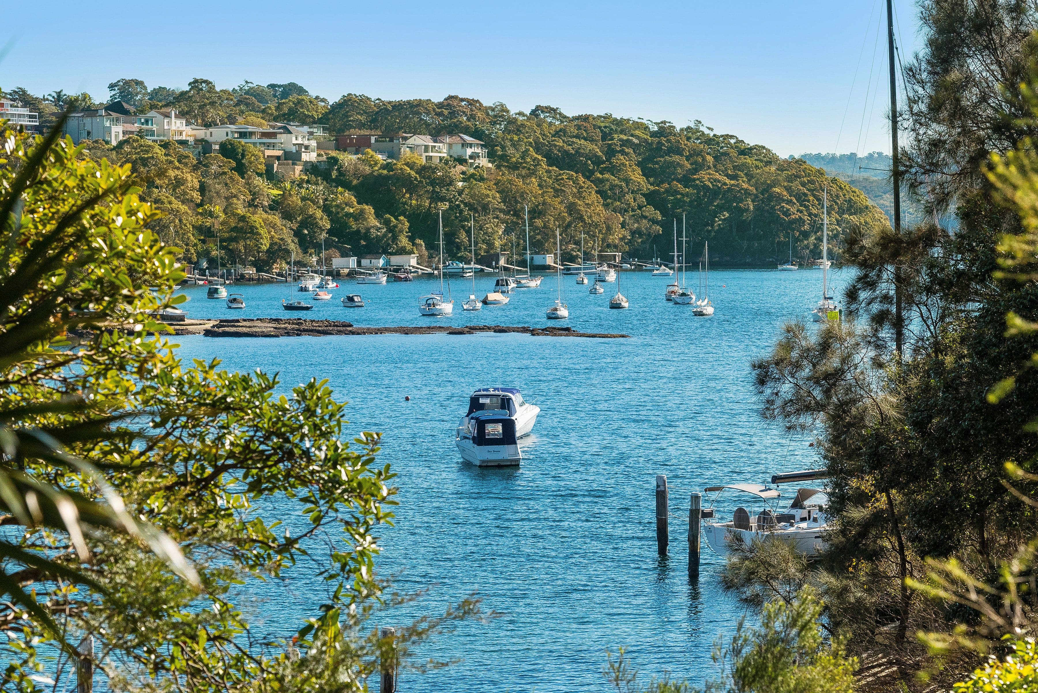 10 Julian Street, Mosman - Thumbnail 3