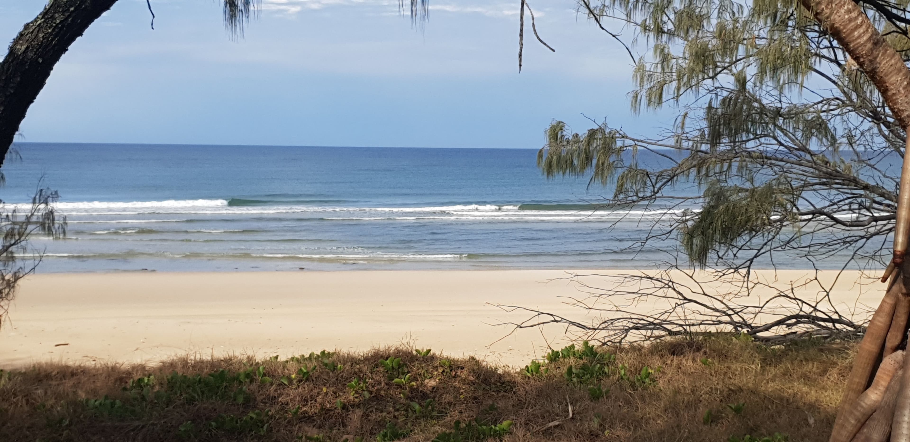0 Herbert Hall Road, Coonarr QLD 4670, Coonarr - Thumbnail 3