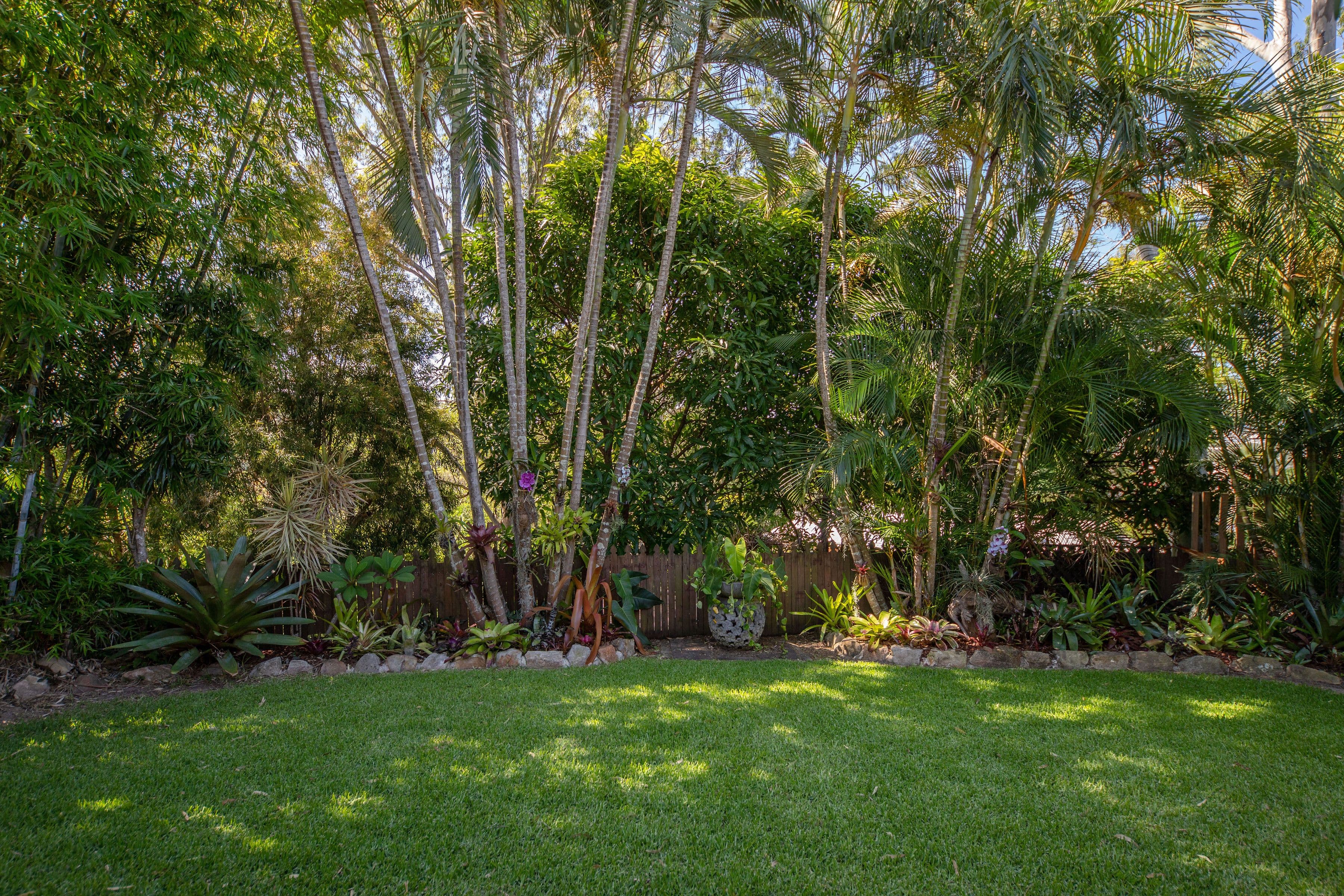 271 Mooloolaba Road, Buderim QLD 4556, Buderim - Thumbnail 8