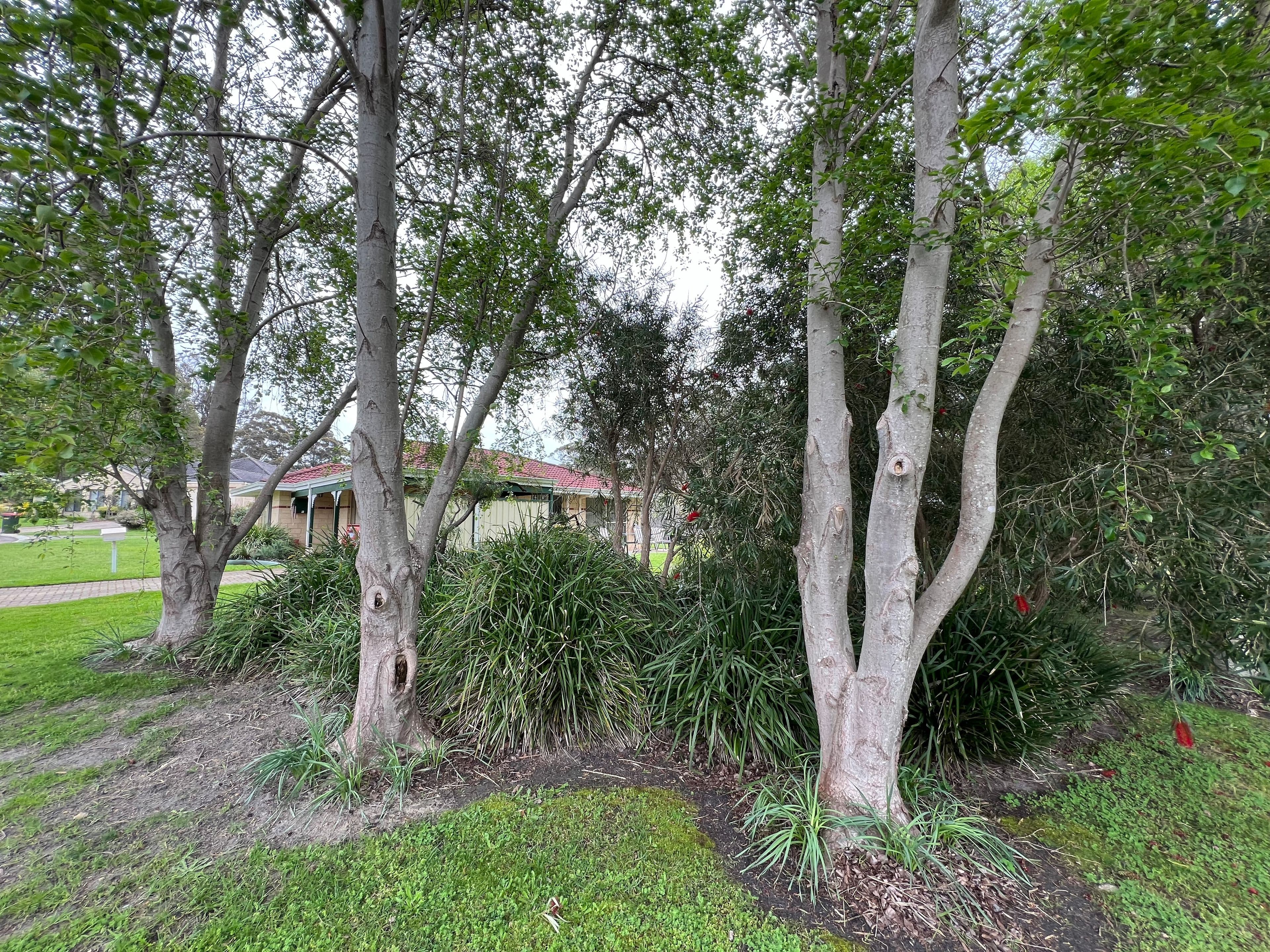 14 Avis Court, Denmark WA 6333, Denmark - Thumbnail 7