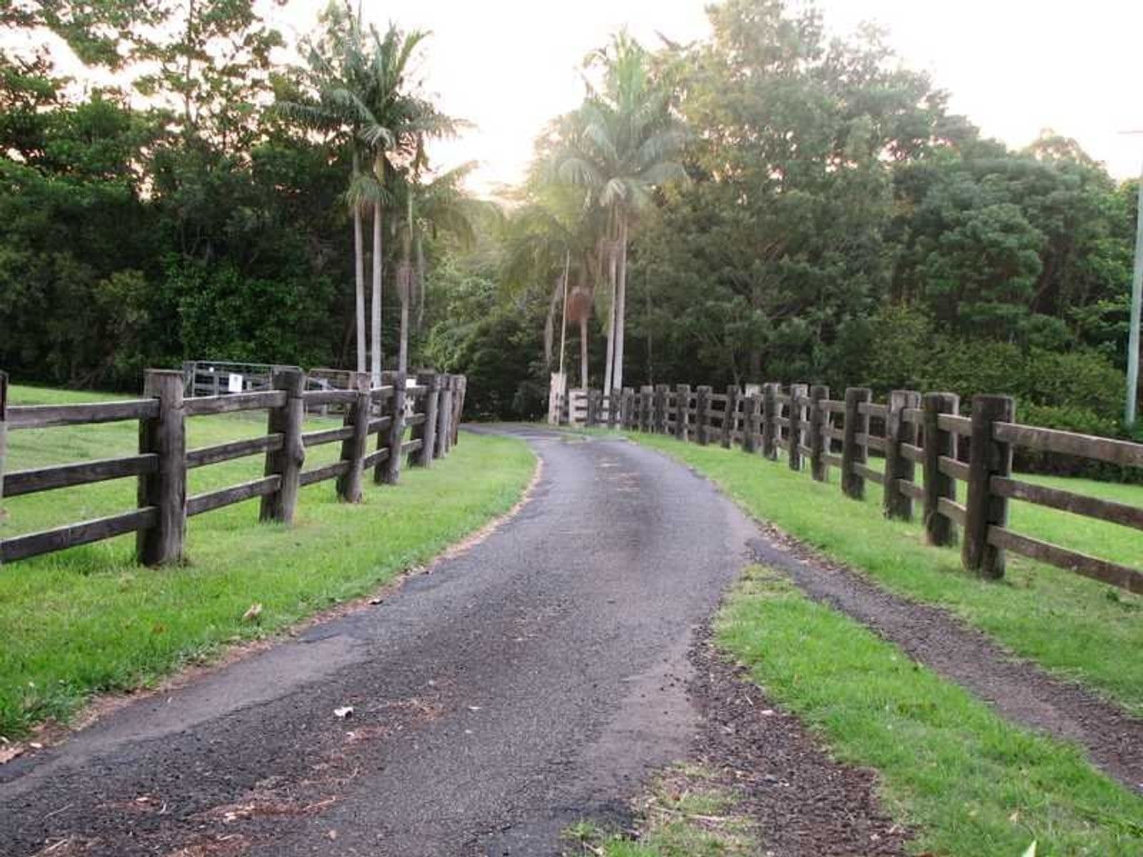 Lot 1 Pacific Highway, Bangalow - Thumbnail 8