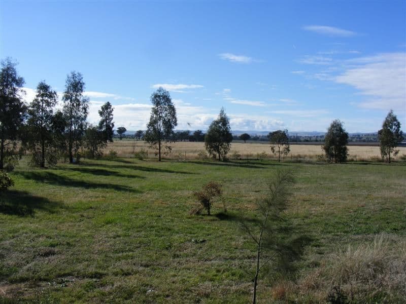 Lot 255 Noonbinna Road, NOONBINNA NSW 2794, Noonbinna - Image 1