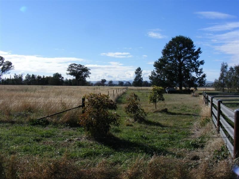 Lot 255 Noonbinna Road, NOONBINNA NSW 2794, Noonbinna - Thumbnail 2